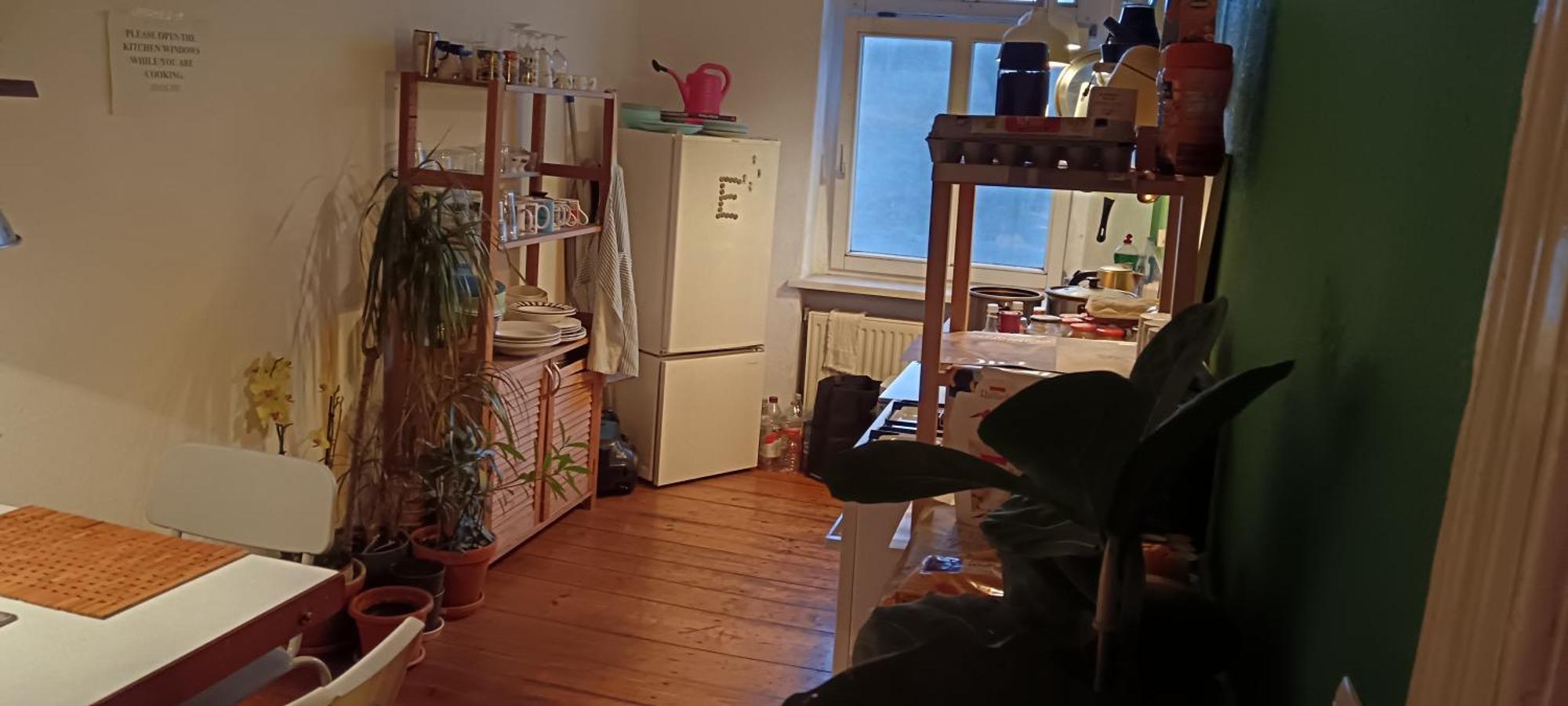 Private Bedroom Near Alexanderplatz In Sharing Apartment Berlin Ngoại thất bức ảnh