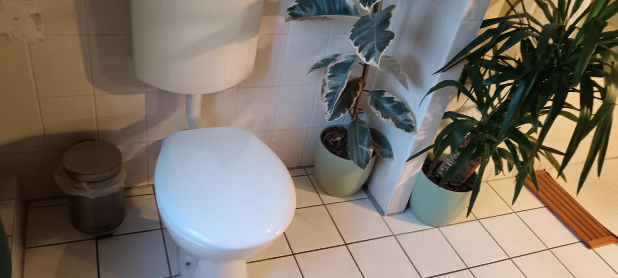 Private Bedroom Near Alexanderplatz In Sharing Apartment Berlin Ngoại thất bức ảnh